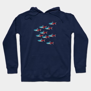 Neon Tetra School Hoodie